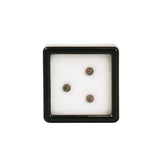 Dopals Opal • 3mm Opal Pearls 3pk