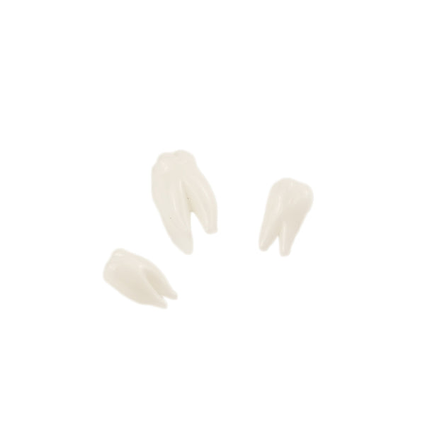 Navar Glass • tooth Pearl