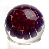 Heathbar • Lg Murrine Marble #4